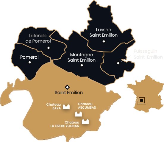 Younan : Vignobles Younan : vignoble de la région de Saint-Emilion (Home)